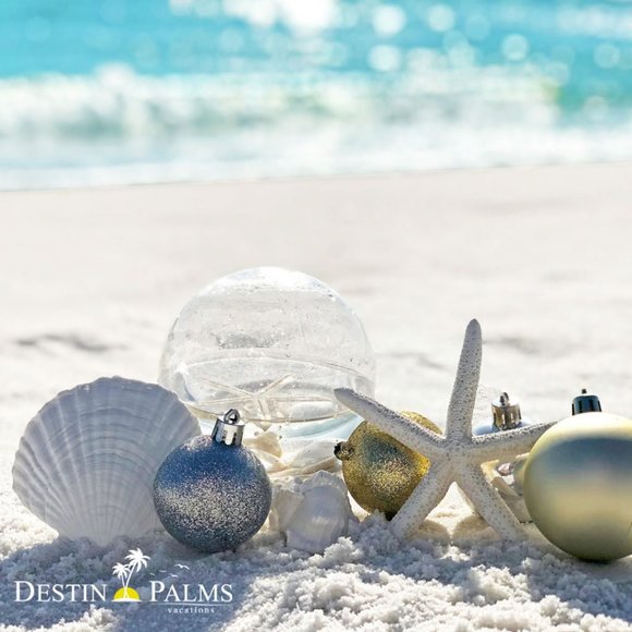 - - Picture 14 of 14